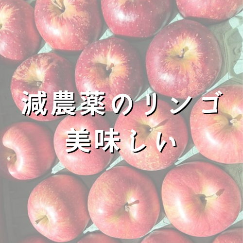 【減農薬のリンゴ、美味しい】
